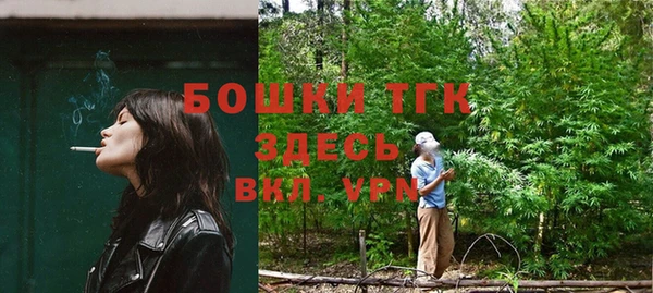 гидра Аркадак