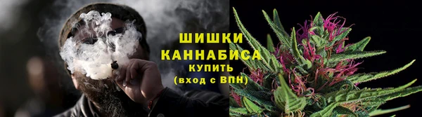Альфа ПВП Дмитровск