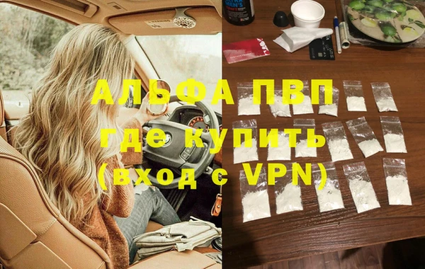 гидра Аркадак