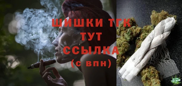 гидра Аркадак